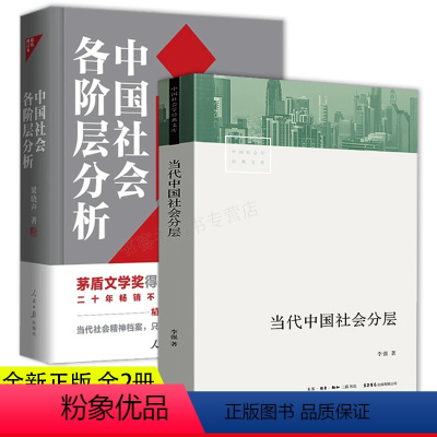 全2册 当代中国社会分层+中国社会各阶层分析 [正版]当代中国社会分层 中国当代社会学经典中产 +中国社会各阶层分析