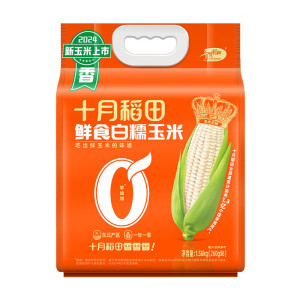 十月稻田鲜食白糯玉米1.56kg(260g*6)