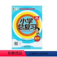 小学总复习数学 小学升初中 [正版]2023版小学总复习数学江西人民出版社培优100系列备考小升初挑战真题全面提升名师点