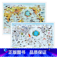 [正版]2张珍稀动物世界鸟类墙贴儿童房大尺寸少儿地图纸质版儿童地理启蒙知识卡通益智科普百科画小学生趣味地图 教孩子认识了