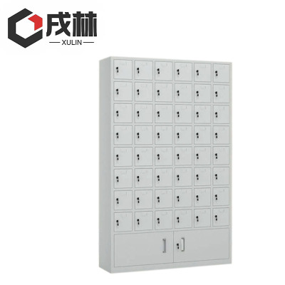 戌林 铁皮储物柜 48门/台