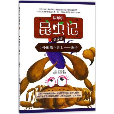 正版新书]法布尔昆虫记彩绘本?小小的战斗勇士:蝎子法布尔97875