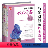 [正版]行家这样选四大奇石 青金石琥珀战国红岫玉品类鉴赏产地介绍真伪辨别鉴定方法选购指南佩戴和保养投资技巧书 玉石宝石