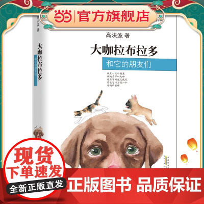 大咖拉布拉多和它的朋友们