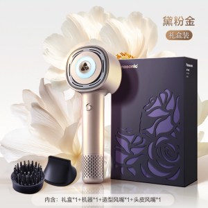 松下(Panasonic)花芯MAX水光离子高速吹风机护发家用大功率速干不伤发纳诺怡电风筒送女友礼物EH-NX80