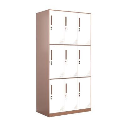 臻远ZY-GYGC-11拆装更衣柜窄边储物柜 咖白套色九门