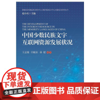 中国少数民族文字互联网资源发展..