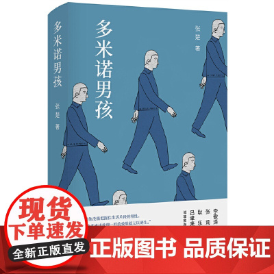 多米诺男孩 张楚 新经典 正版书籍