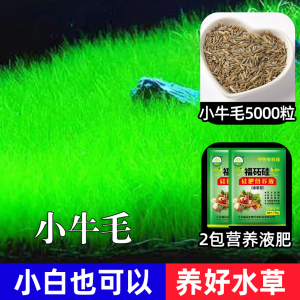 [补贴10%]鱼缸水草种子生态造景套餐植物种籽孑水培阴性真草盆栽装饰牛毛