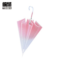 统狮直杆雨伞Y56 个