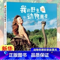 我的野生动物朋友 [正版]夏洛的网时三年级课外书亲爱的汉修先生时代广场的蟋蟀长袜子皮皮神笔马良绿野仙踪宝葫芦的秘密中小学