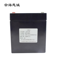 阀控式密封铅酸蓄电池 NP12-5Ah 1只