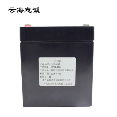 阀控式密封铅酸蓄电池 NP12-5Ah 1只