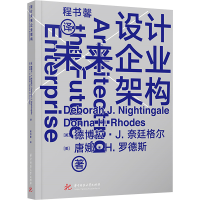 正版新书]设计未来企业架构(美)德博拉·J·奈廷格尔,唐娜·H.罗德