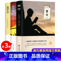 高尔基三部曲 [正版]童年六年级必读课外书 高尔基书 小学课外阅读原著彩绘版完整版小学生初中课外书籍三部曲爱的教育雨来人
