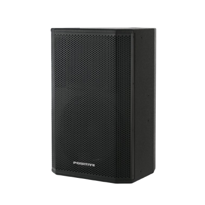 戴阳返送扬声器PT-F12D