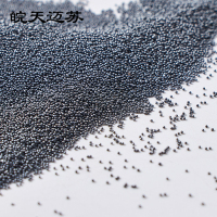 皖天迈苏2.5mm铸钢丸钢丸轴承附属件1kg