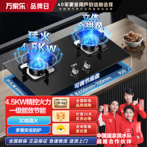万家乐 钢化玻璃燃气灶炉具双眼灶 家式嵌入式两用灶具4.5KW一级能效天然气 家用双灶台LAY3