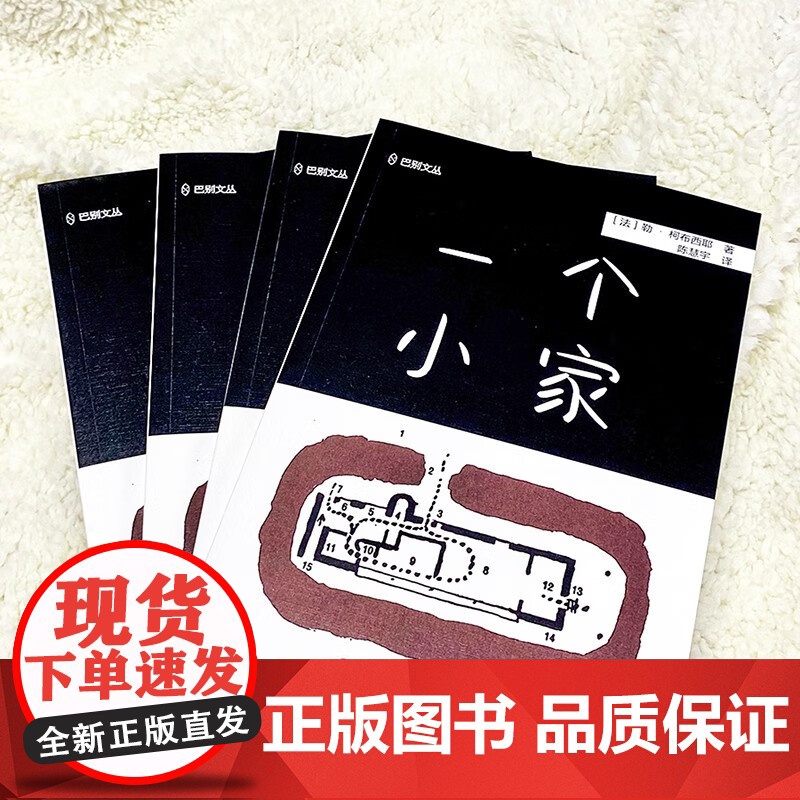 一个小家 勒·柯布西耶 著 建筑