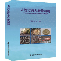 音像大连近海无脊椎动物曹善茂 等 编著