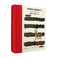 正版新书]德里克·贾曼的速写本[英] 史蒂芬·法辛 等 编978756894