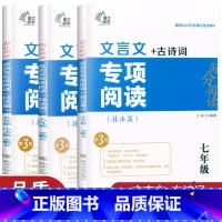 文言文专项阅读 九年级/初中三年级 [正版]新版初中文言文古诗词专项阅读七八九年级上下册技法篇初一二三文言文全解一本通逐