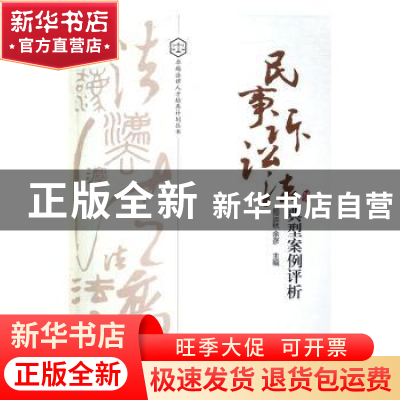 正版 民事诉讼法典型案例评析 颜运秋,余彦主编 中南大学出版社
