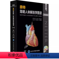 [正版]奈特简明人体解剖学图谱 第五5版 手册版 北京大学医学出版社 张卫光 陈春花 主译 医学书籍