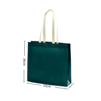 朗盛光艺 LSGY24 33cm宽*34cm高*10cm侧 无纺布手提袋 文件袋(计价单位:个) 墨绿色