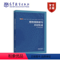 植物细胞壁与木材形成 [正版]植物细胞壁与木材形成 林金星 贺新强