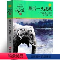 一头战象 [正版]一头战象沈石溪动物小说精品集系列儿童文学小学生课外书长篇单本作品全集珍藏版品藏书系大王升级版三四五六年