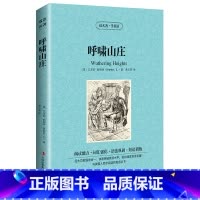 呼啸山庄 [正版] 双语名著 呼啸山庄 读名著 学英语 中文版+英文版 中英文对照 双语读物 世界名著英语图书 经典文学