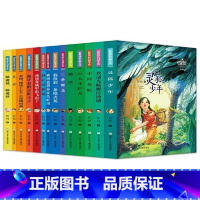 [礼盒装14册]彭懿成长幻想小说 [正版]彭懿成长幻想小说 典藏版全套14册 我是夏壳壳系列 6-12岁儿童幻想文学小说