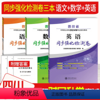 [正版]全套3本 四川省中等职业学校对口升学考试语文数学英语同步强化检测卷及答案详解中专中职升高职大书专项练习题集训
