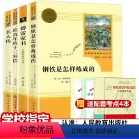 八下 钢铁+傅雷+名人+12封信[全套4册] [正版]钢铁是怎样炼成的傅雷家书原著八年级下册必读全套人民教育出版社名人传