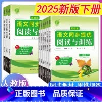6年级下册 [正版]2025新版初中语文实验班同步提优阅读与训练7七8八9九年级上下册小学1一2二3三4四5五6六人教版