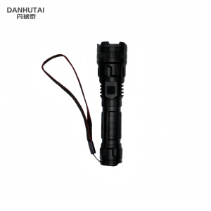 丹琥泰 DHT-SDT03 2W 手电筒(计价单位:个)黑色