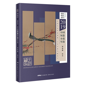 正版新书]2019中国短篇小说年选洪治纲9787536090705