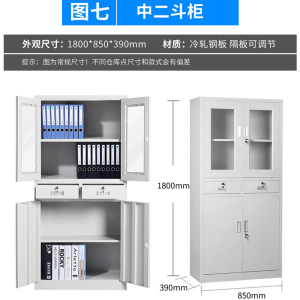 风雷动钢制文件柜办公资料柜铁皮档案柜带锁储物柜财务凭证柜
