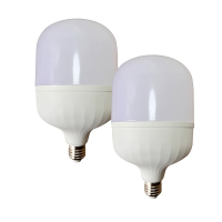 铁邦邦 LED灯泡8PZ420/5W 个