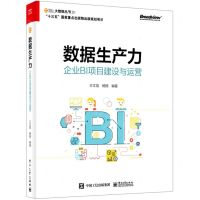 [N]数据生产力(企业BI项目建设与运营)/大数据丛书-9787121403026