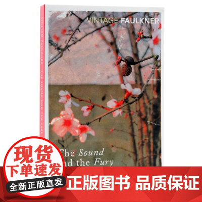 英文原版 The Sound and the Fury (Vintage Classics) 喧哗与骚动 威廉 福克纳获