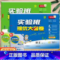 语文+数学(人教版)。 三年级下 [正版]实验班提优大考卷一年级二年级三四五六年级上册语文数学英语人教版北师大苏教下册期