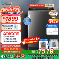 小天鹅(LittleSwan)波轮洗衣机全自动 12公斤大容量水魔方防缠绕银离子除菌深层除螨直驱变频TB120M08DT