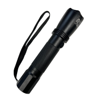 格瑞达 多功能强光巡检电筒 GS6129 个