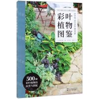 [N]彩叶植物图鉴-9787570606849