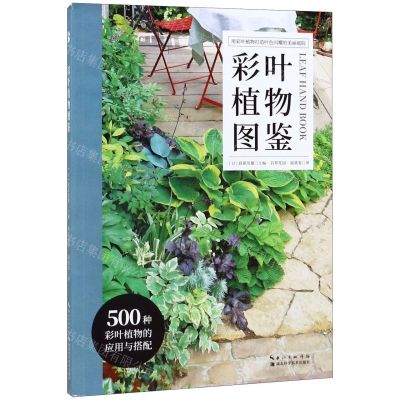 [N]彩叶植物图鉴-9787570606849