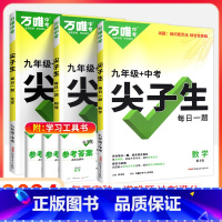 9年级[数学+物理+化学]3本套装 初中通用 [正版]2024尖子生七八九年级数学物理化学专项训练初中初 二一三每日一题