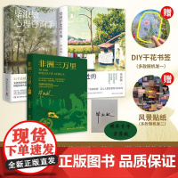 毕淑敏疗愈三部曲(非洲三万里+毕淑敏心理咨询手记+恰到好处的幸福) 毕淑敏 湖南文艺出版社