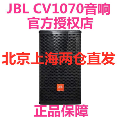 JBLCV1070专业卡拉OK10寸音箱KTV酒店学校健身房私人会所会议室
